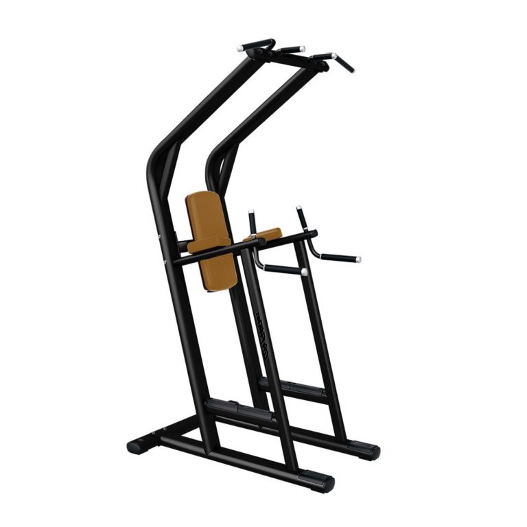 Traction / Dips / Abdominaux LIFE FITNESS Agence Exclusive Fit